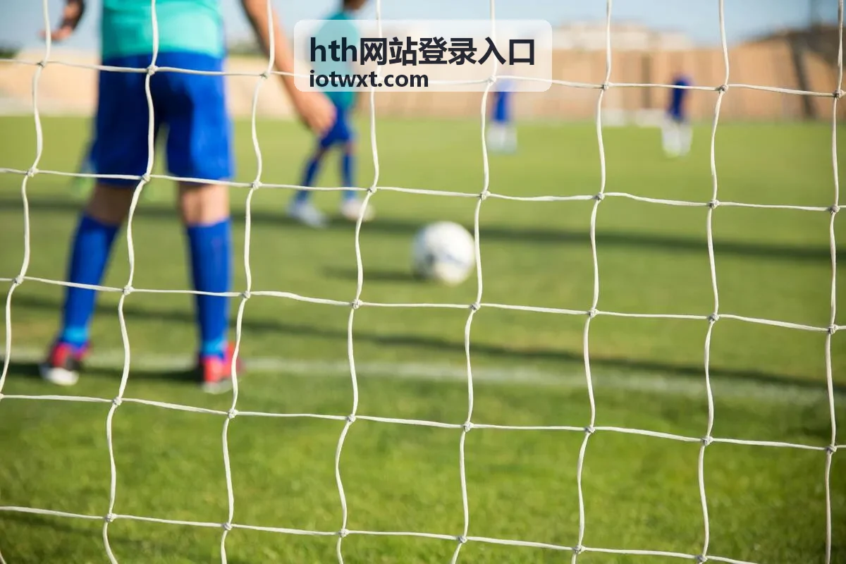 hth网站登录入口登录入口指引通道封面