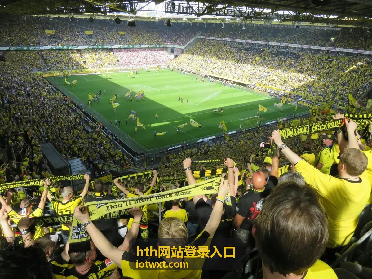 hth网站登录入口凭证准备与核对封面